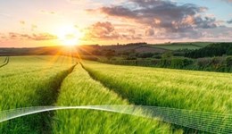 Northern Ireland monitor farm network: Crop nutrition